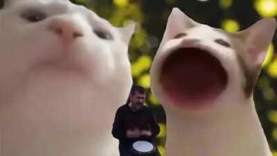 pop cat vibing cat