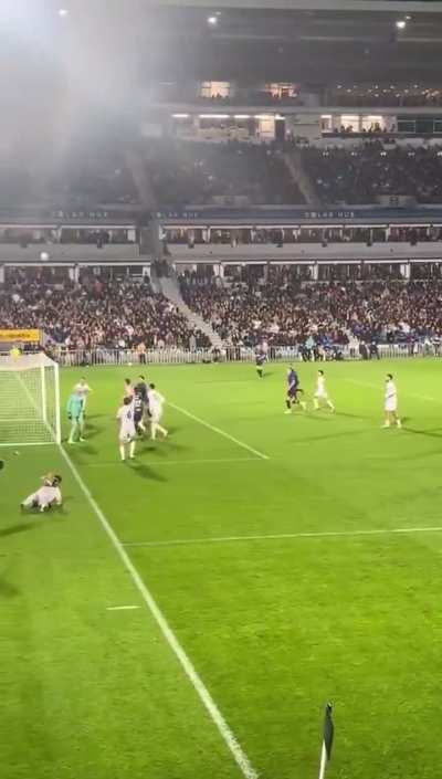 Auckland Disallowed Goal from the Crowd