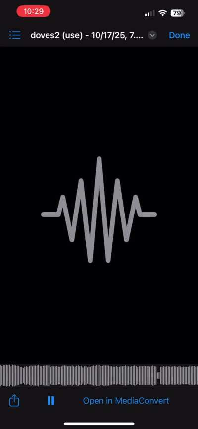 Mix feedback. Too harsh?