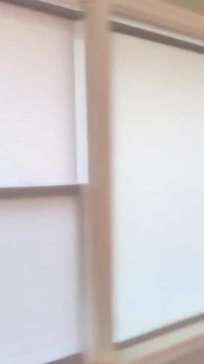 Can I offer you two new pictures I hung in my house in this trying time?