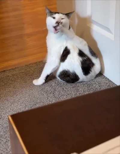 At first I thought it was a tail, but no...