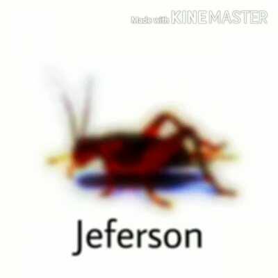 Jeferson