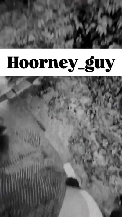 And forest with my wild animal (my bitch)