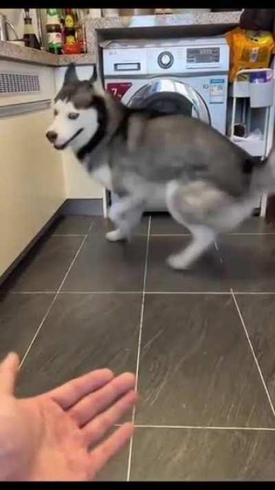 There's was an attempt to give Paw