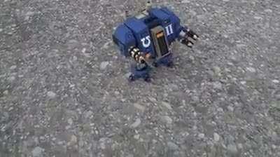 Greeting little brother