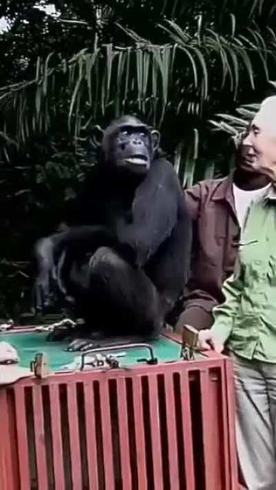 Nissa y Shavi vuelven a España 