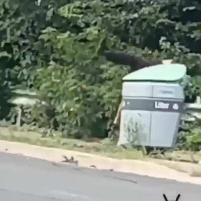 What the hell are they doing now?