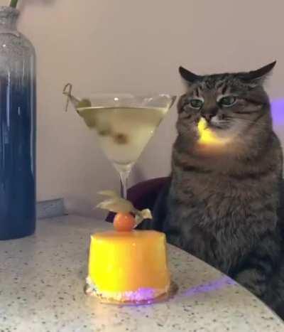 There's always such a person at every party