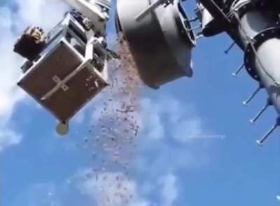 Squirrel stored 330 LBS (150 KG) of acorns in a transmitting antenna.