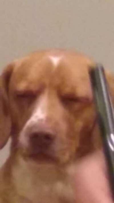 When Someone Schedules a 9:00 am Monday Meeting