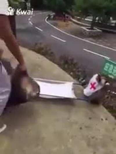 We promised we’d come back for you, $13 hodlers ❤️