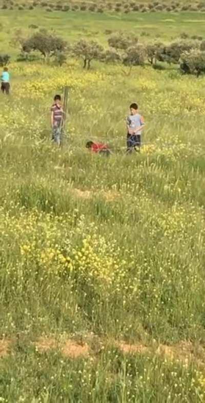 Testing the Tower Guards