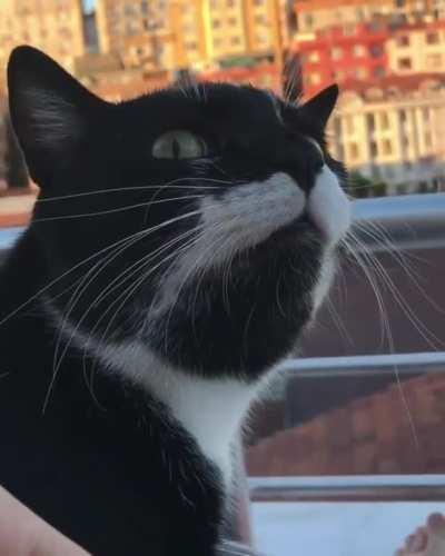 There's a fly on the wall.