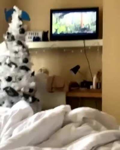 Everyone's a tough guy until there's a bear on the screen.