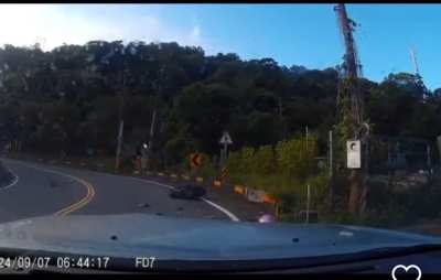 A motorbike crashed into oncoming vehicle at the sharp curve