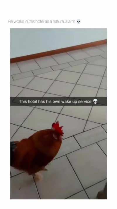 What a service