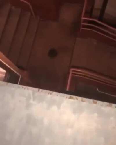 Man attempts To...Parkour