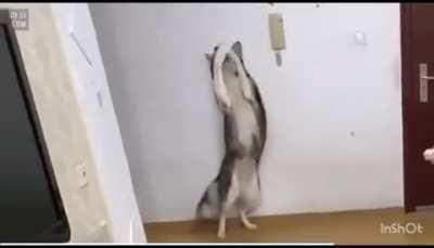 Nobody likes a durian