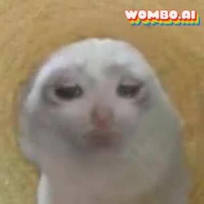 As long as he knows how to love he knows he'll stay alive!