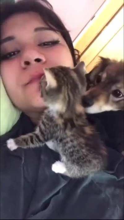 CrAzY WoMaN DEvoUrs a KiTTen