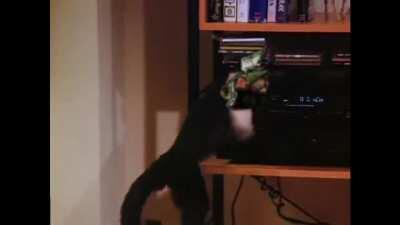 Escape and Panic is the best track in the game, you can't prove me wrong