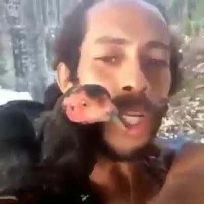 Esse papagaio e raro.