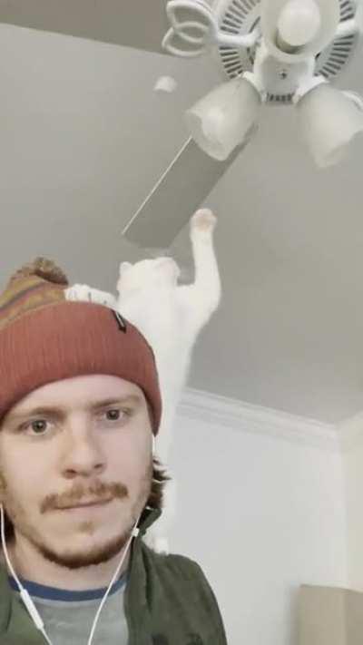 She’ll yell at me until I put her on my shoulders and let her smack these things