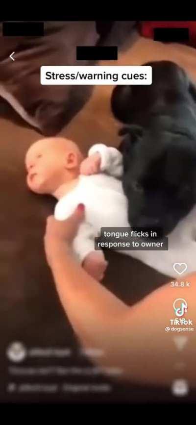 How can you laugh about this