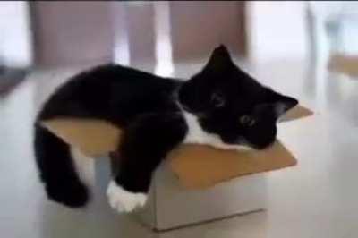 this mf really said :3