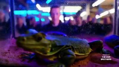 Man these deepfakes are getting scary good 😟