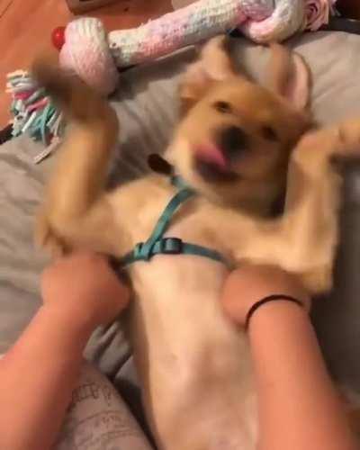 We are preparing for flights.