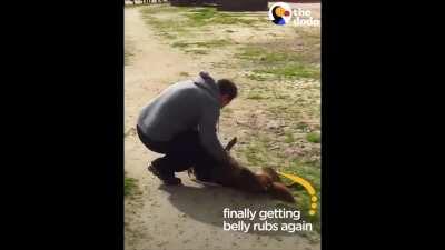 Estos videos me dan unas ganas de llorar que no les cuento. (Crosspost porque son argentinos)