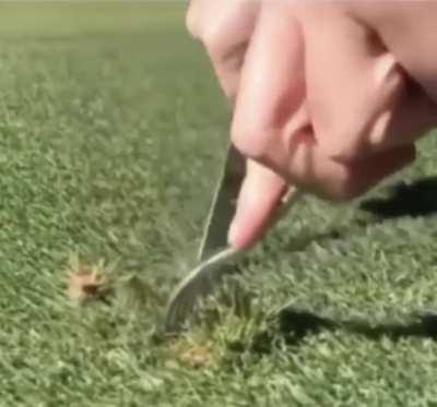 DESAYUNO VEGANO ALTO EN FIBRA 😳🤤