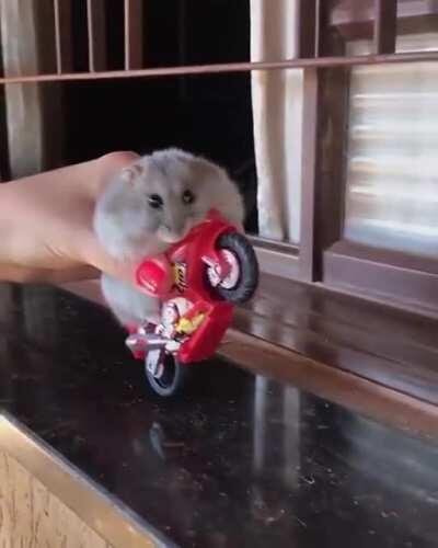 Radadadadadadadadadannn