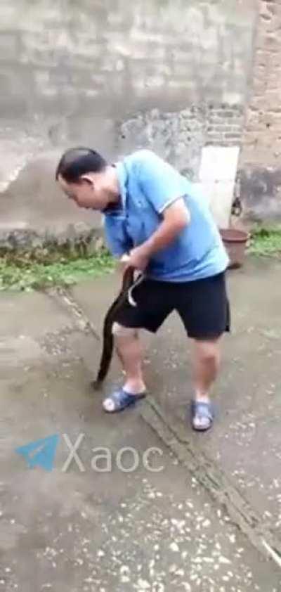 WCGW Playing with cobra