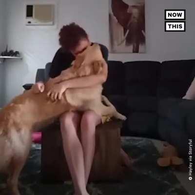 I really wanna have a dog ♥