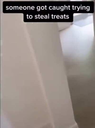 Stealing Treats