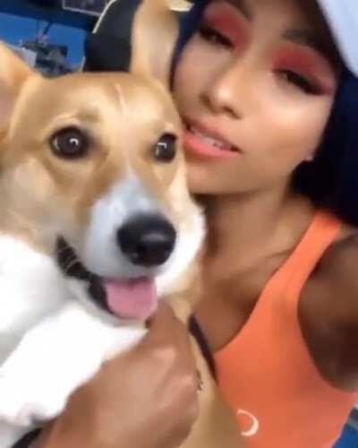 Ryu, the Luckiest Dog in the World