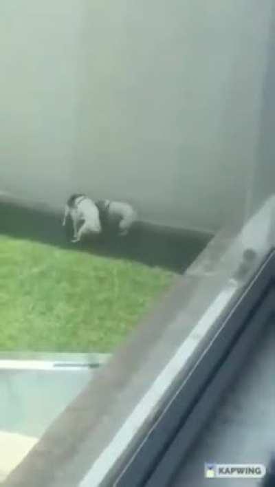 🤔🤔🤔🤔🤔🤔🤔🤔