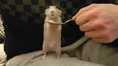 He is taking his medicine..