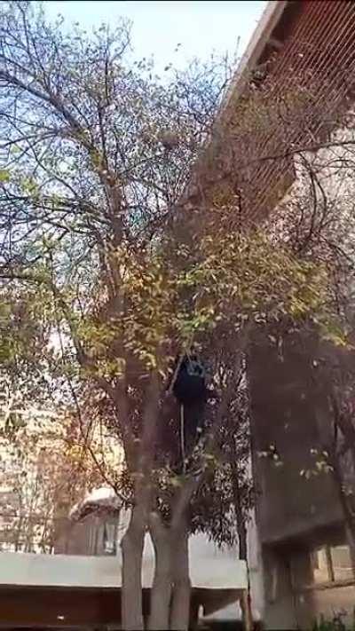 This happened on my school yesterday