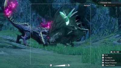 I just wanted a picture...