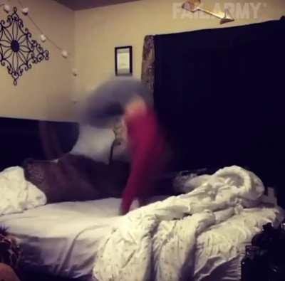 Don't do flips on the bed. Ouch.