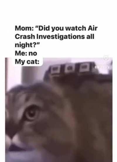 My cat is now Jonathan Aris