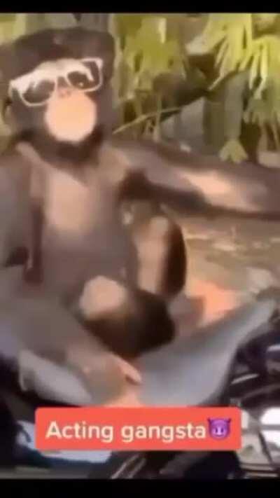 Men only have 4 moods