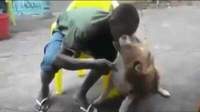 WCGW hug a lovely dog?