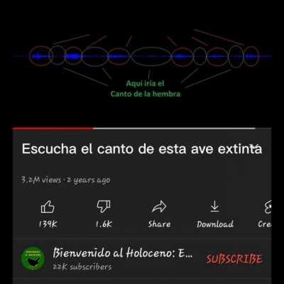 Afilamos cuchillos, navajas, machetes