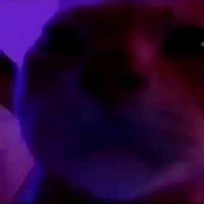 Me: *takes out 5 scavs, two pmcs, three raiders, glukhar and his team, trying to exfil with no health and 3 destroyed limbs* A rat waiting fot me at d-12: