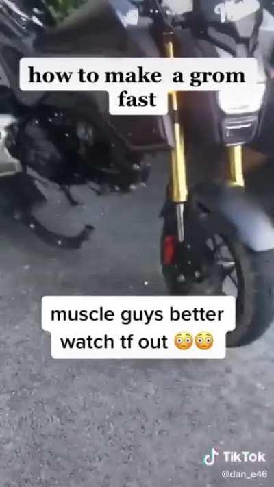 Can any Grom owners confirm? 😂