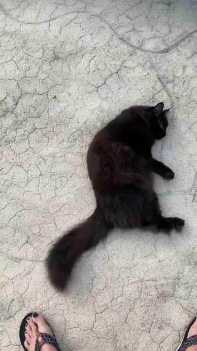 Booberry. She’s a flirty worm …